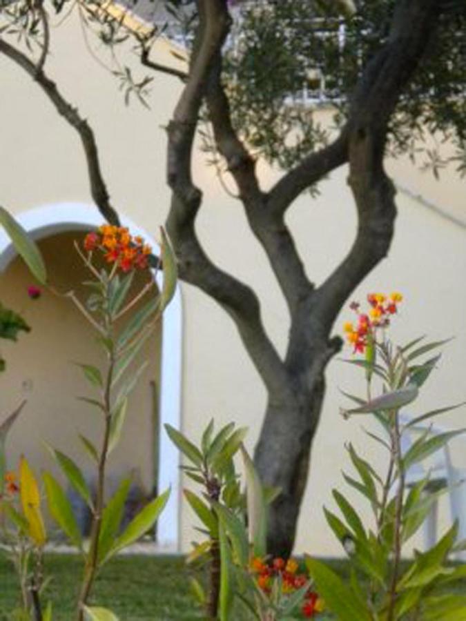 Natalia Apartment B With Panoramic Sea Views Of Agios Gordios Bay Agios Gordios (Corfu) Exterior foto